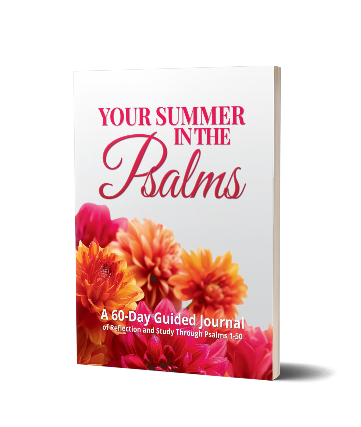 Summer in the Psalms 1-50 guided journal cover
